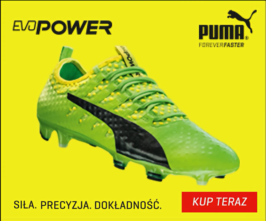 Zaślepka: Puma